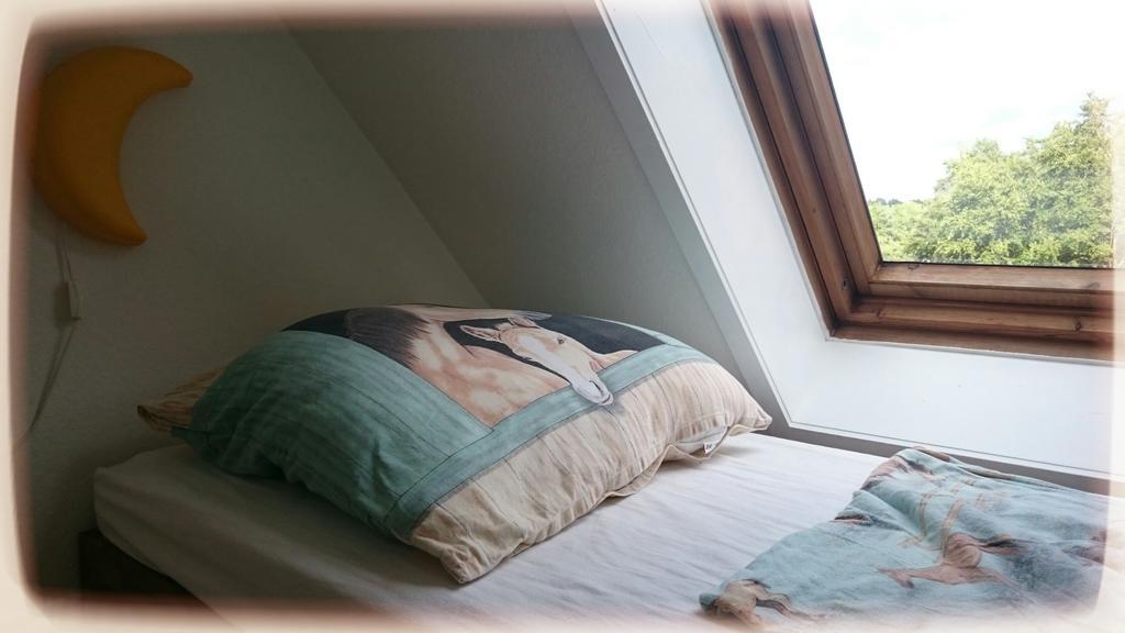 Heidezeit Apartamento Hanstedt Habitación foto